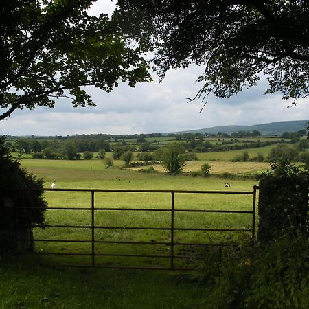 Brandon View House B&B Graiguenamanagh Kültér fotó