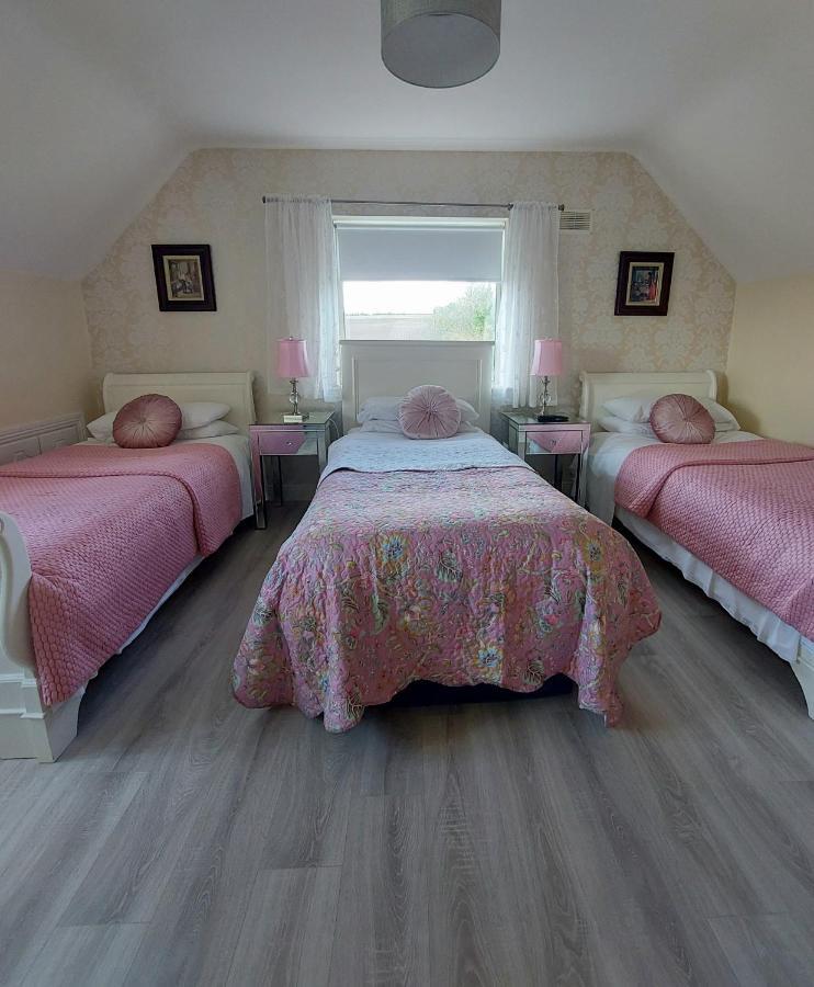 Brandon View House B&B Graiguenamanagh Kültér fotó