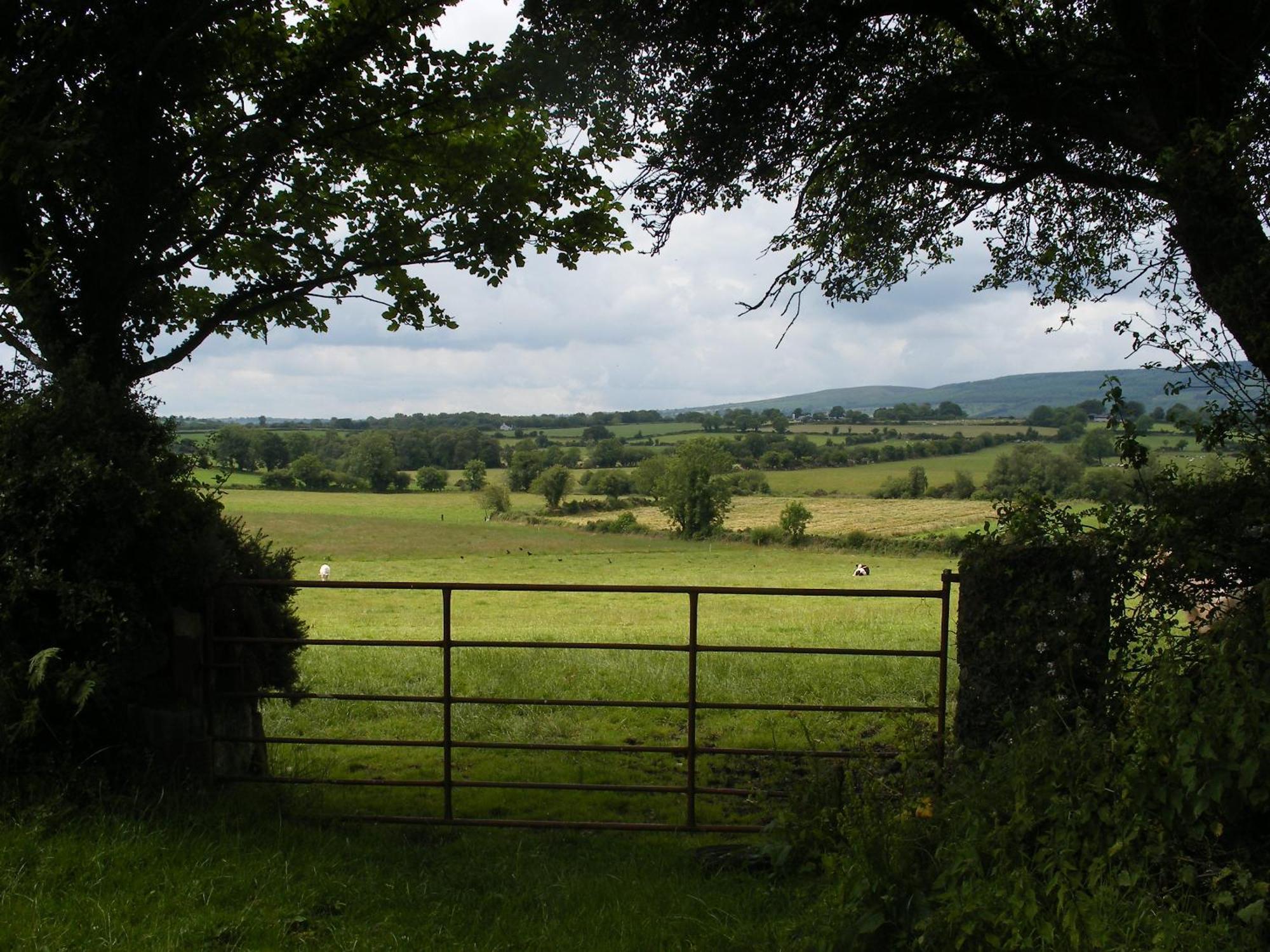 Brandon View House B&B Graiguenamanagh Kültér fotó