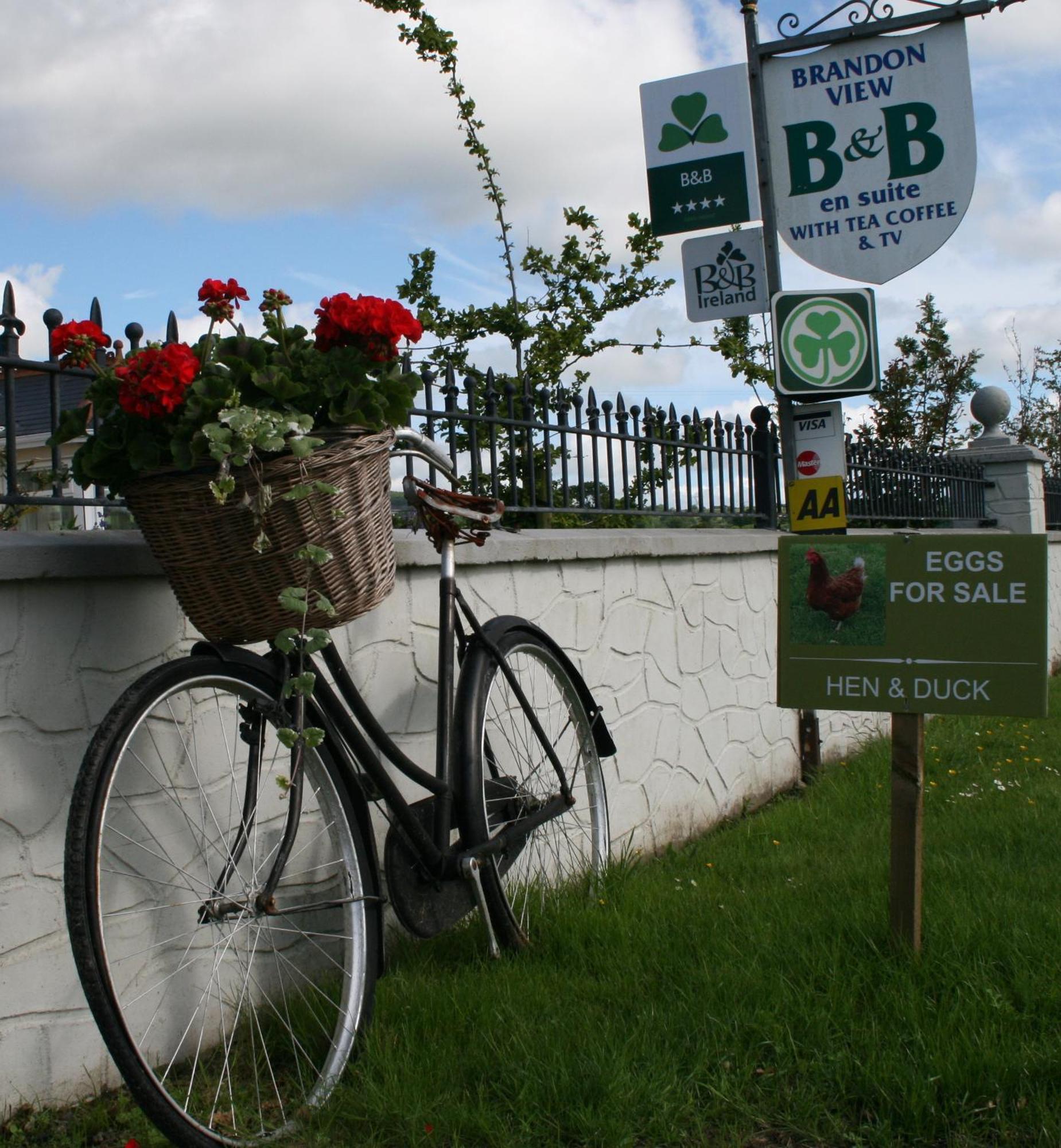 Brandon View House B&B Graiguenamanagh Kültér fotó
