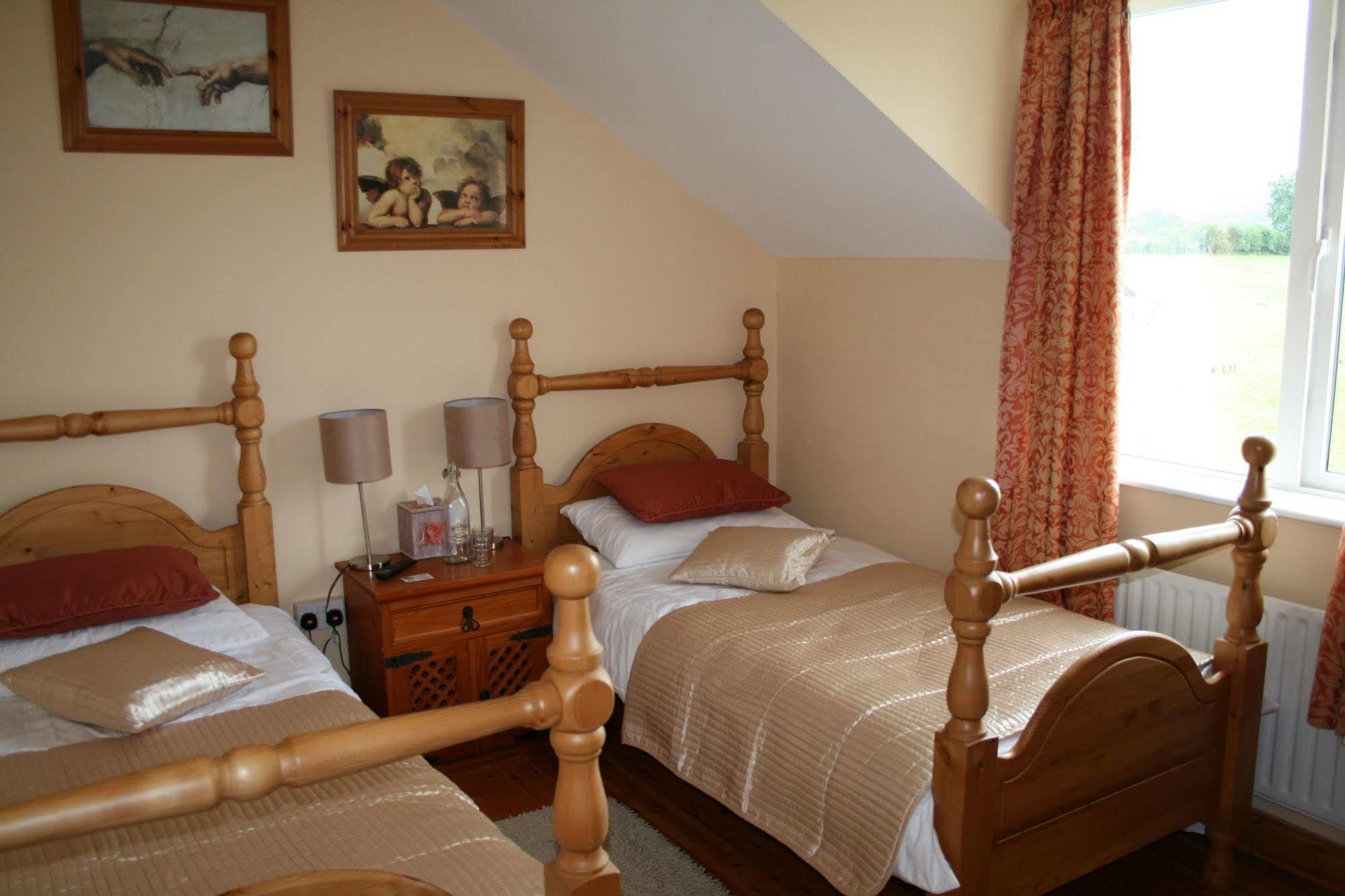Brandon View House B&B Graiguenamanagh Kültér fotó