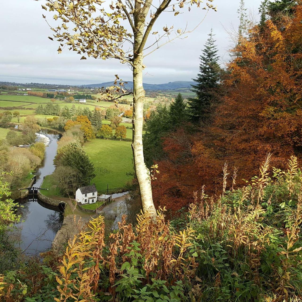 Brandon View House B&B Graiguenamanagh Kültér fotó
